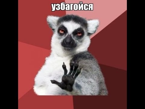 Иди ко мне, моя прелесть!