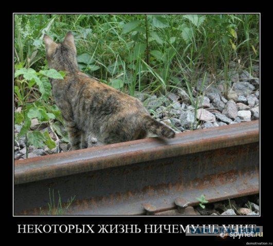 Древние мемы с ВК. Для тех кто забыл