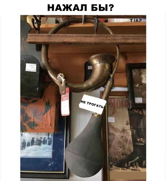 Бредзона