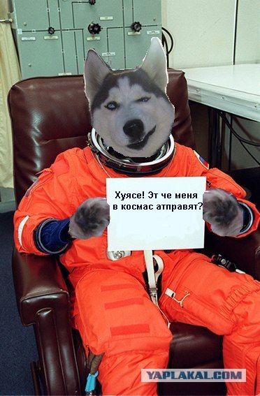 Фотожаба: Послание космонавта