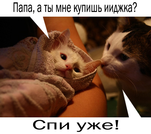 Фотожаба на пятницу