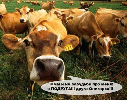 Анкета с сайта знакомств