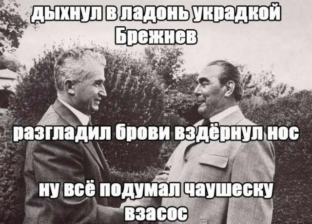 Фотки и картинки: юморные и красивые, забавные и милые 03.10.20
