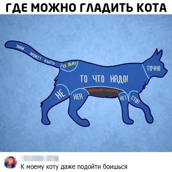 Немного картинок для настроения 26.10.20