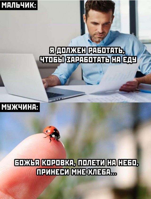 Немного картинок для настроения 03.11.20