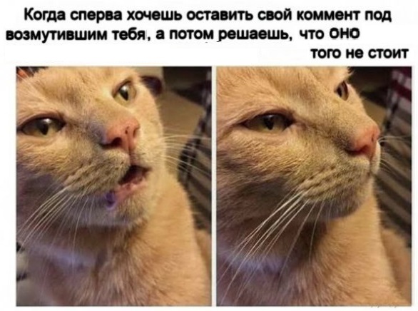 Картинки с надписями и всякие жизненные фразы 2.01.2021