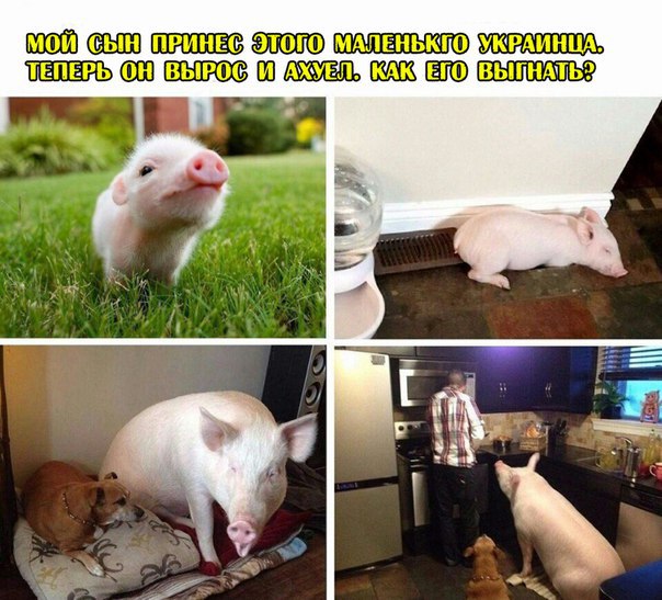 Картинки разные нужны, картинки всякие важны