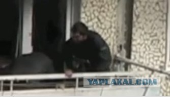 Уничтожение вооруженных бандитов. Владивосток.