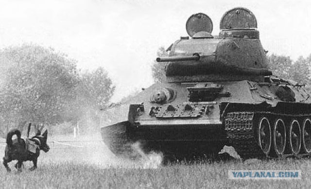 Прошлое, далёкое и не очень - 12