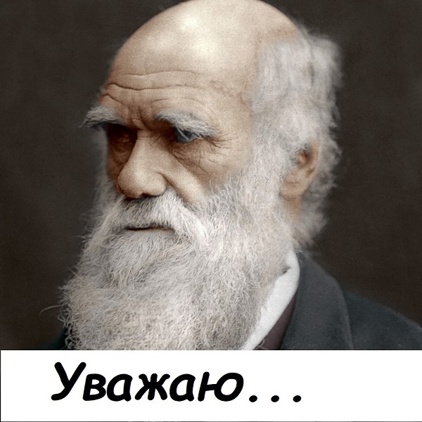 Молодая писательница умерла в московской квартире от голода