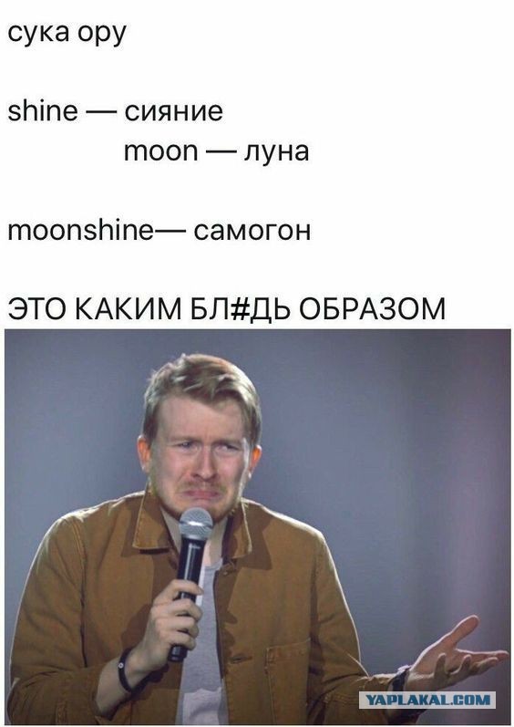 Фотки и картинки: юморные и красивые, забавные и милые 20.04.21