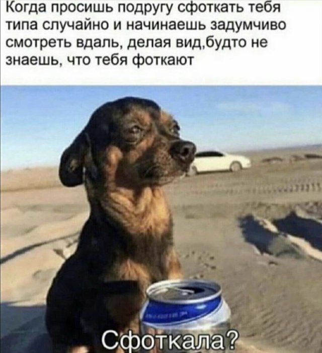 Картинки и мемы для настроения 09.06.2021