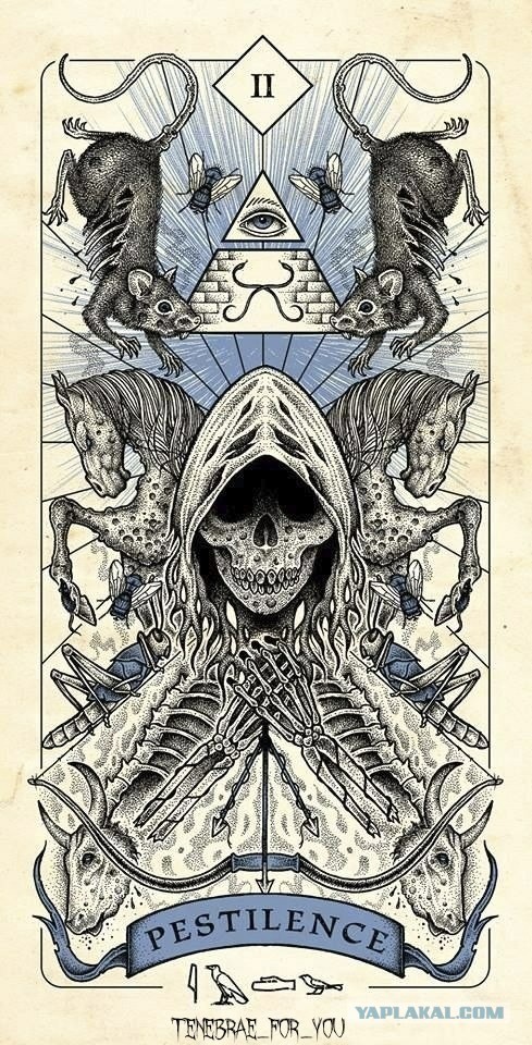 666