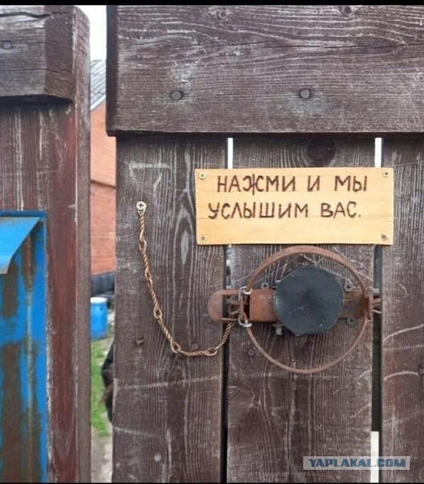 Весёлый полтишок 14.07