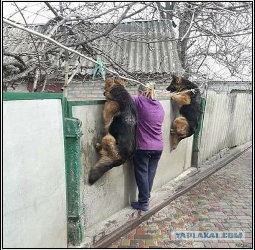На Украине ликвидирован завод, построивший все советские авианосцы.