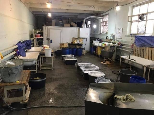 Стоимость простого отварного картофеля немного смутила не готовых к такому покупателей