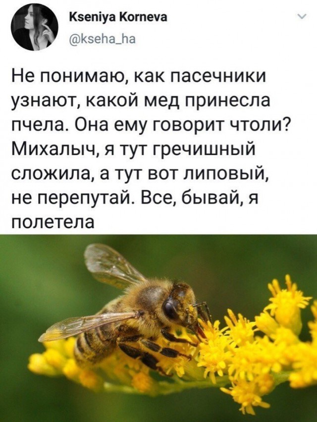 Забавные шутки, картинки и фразы из этих ваших интернетов 23.11.2021