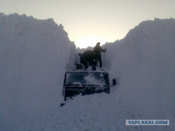 Жизнь на Новой земле.