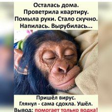 Алкопост 3.12.21
