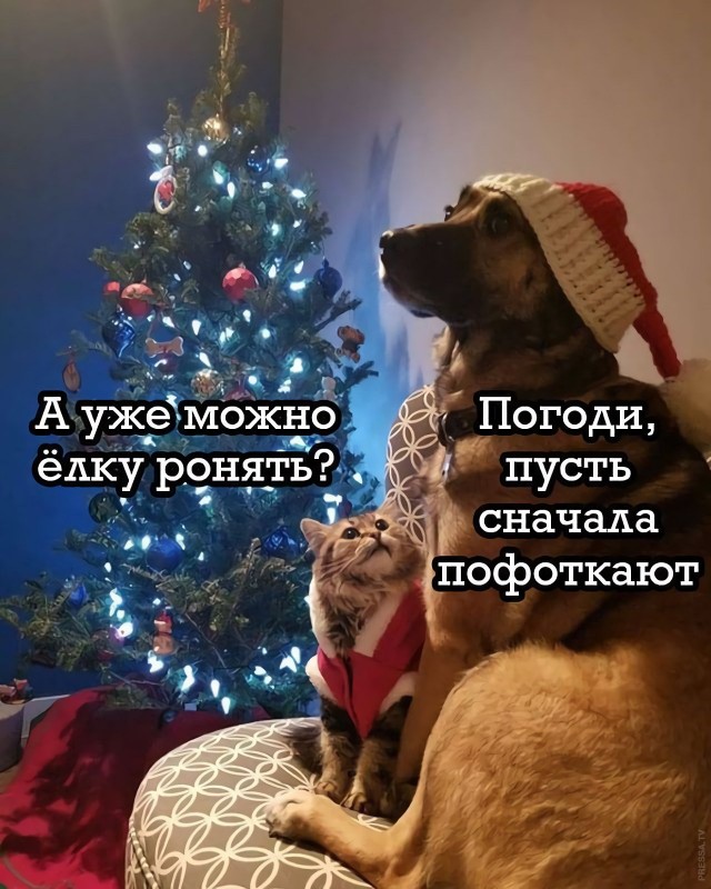 Картинки и мемы для настроения