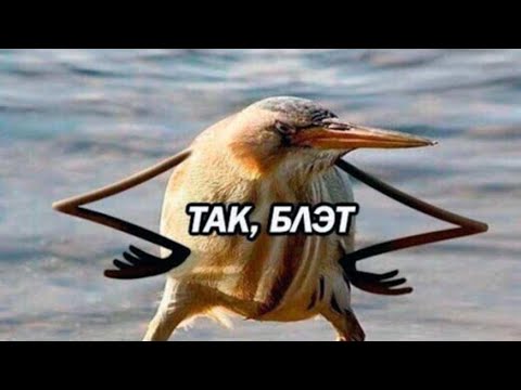 Если русский человек говорит, что он не любит свою родину, не верьте ему, он не Русский!