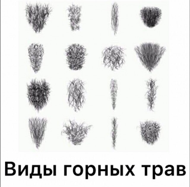 Так себе картинки 03.05.22