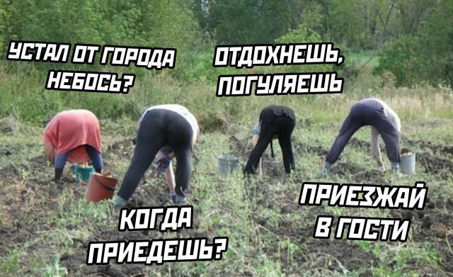 Картинки и мемы, выходные продолжаются