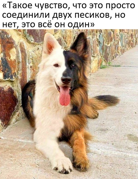 Так себе картинки 10.05.22