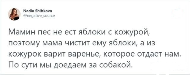 Забавные шутки, фразы, картинки из этих ваших интернетов