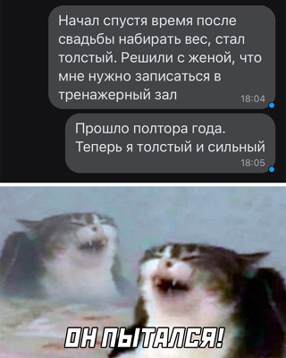 Картинки и мемы для настроения - 29