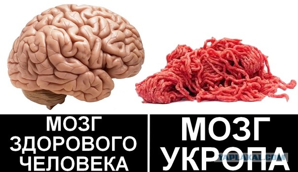 Украинские волонтеры потоптались на флаге ДНР в конгрессе США