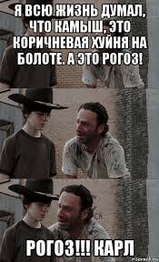 Рогоз как природный фильтр для воды