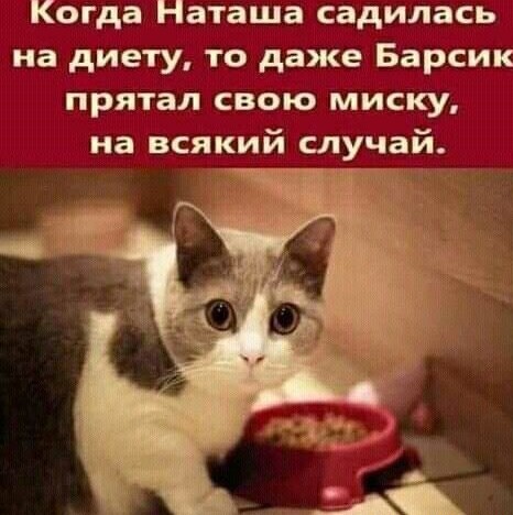 Немного картинок для настроения - 165