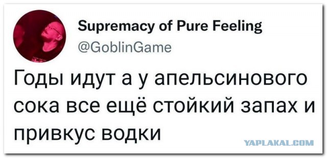 Забавные комментарии из социальных сетей (15.05.23)