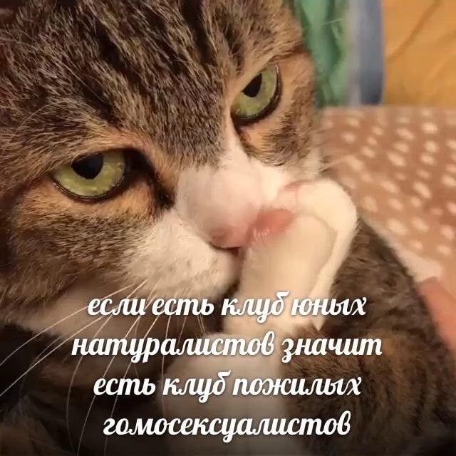 Всего понемногу, от 21.05