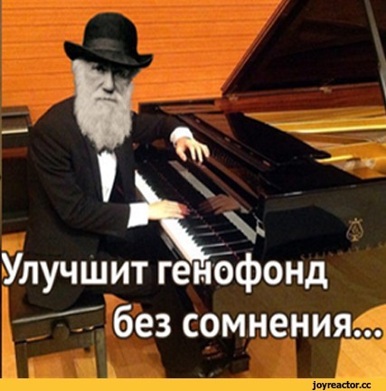 Один нож против двух акул