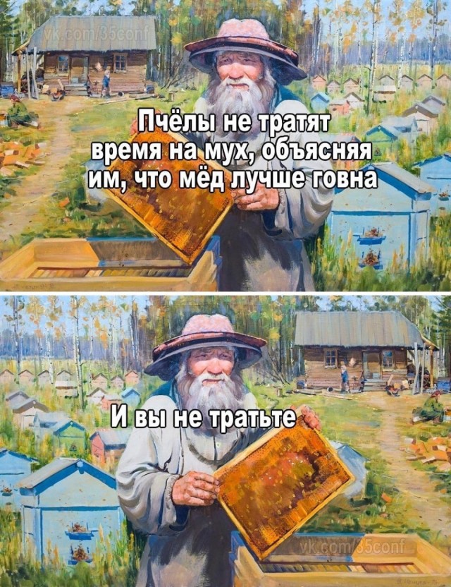 Весёлый полтишок 06.02.24