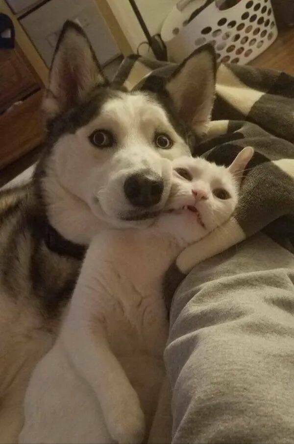 ФотоВинегрет