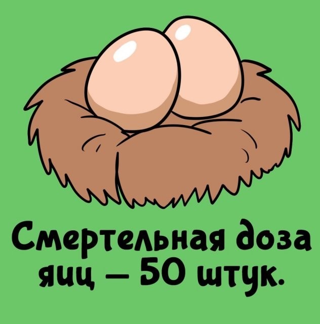 Подборка интересных фактов на все случаи жизни