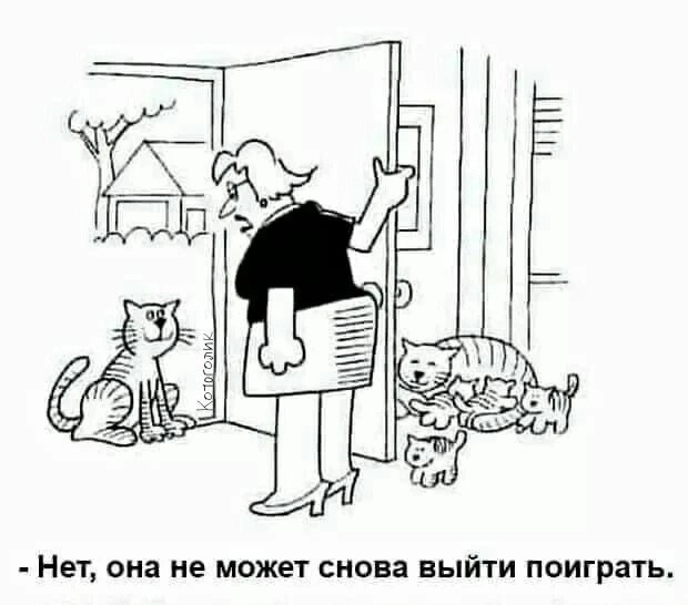 Завалялось тут случайно немного забавных картинок