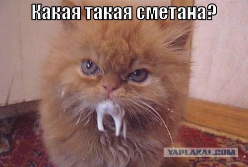 Иногда VK доставляет...