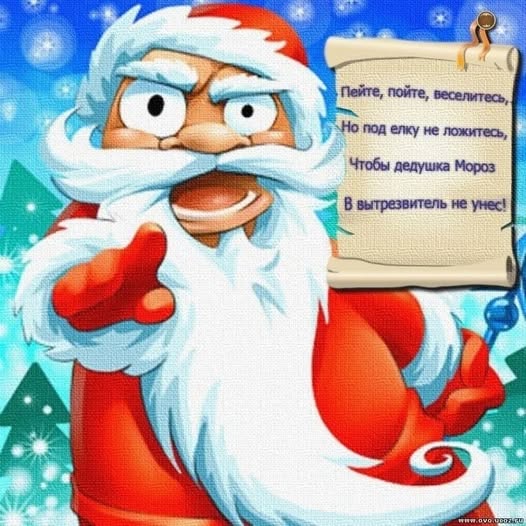 АлкоНовогодние баяны