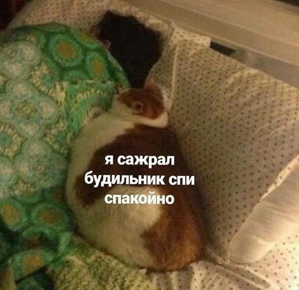 Из мира деградации - 13