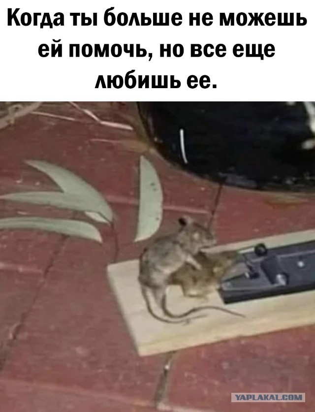 Так себе картинки 12.05.25