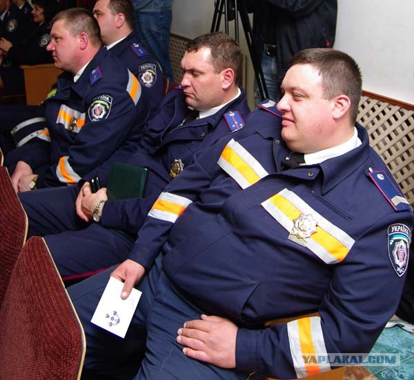 Полицейские мира