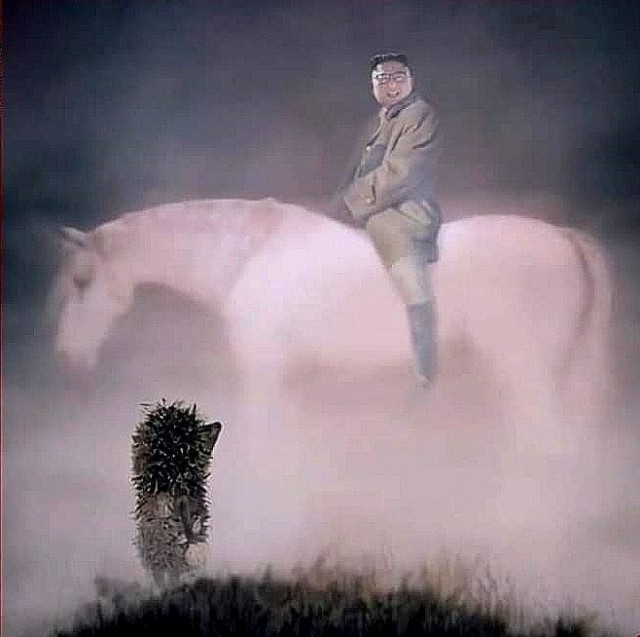 Немного мемчиков. Для взрослых. Часть 37