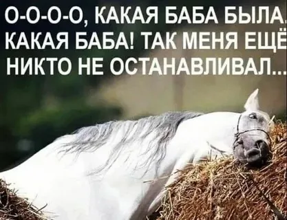 Равноправие или необходимость.
