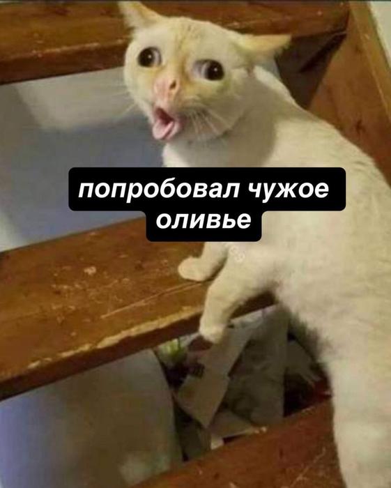 Картинки для деградации 114 (разной степени свежести)