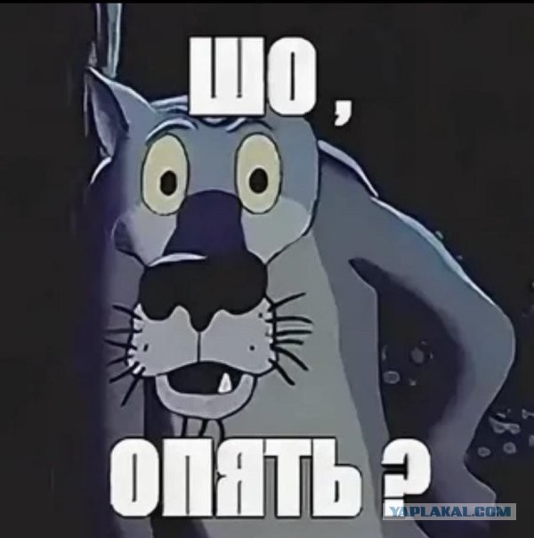 В Госдуме посоветовали россиянам готовиться к сложным временам