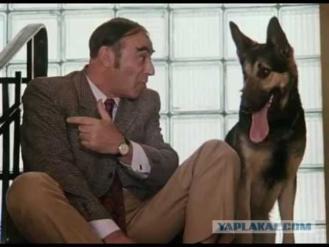 На Украине переворот?